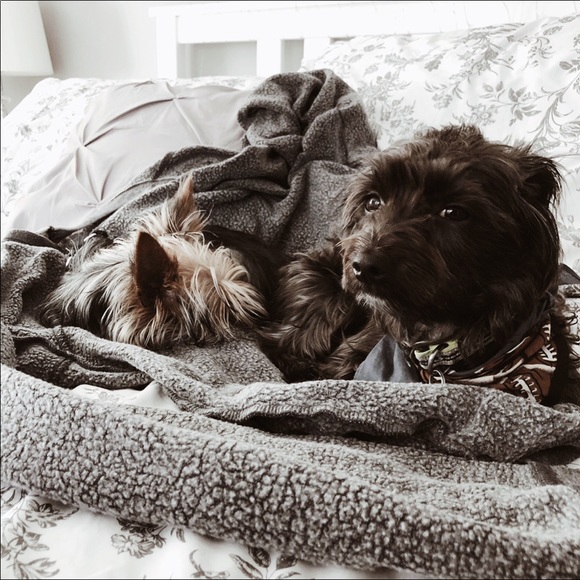 Meet your Posher, Bree - Picture 6 of 8